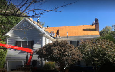 Roofing Contractor, Roof Repair, Roofing Estimate, New Roof
